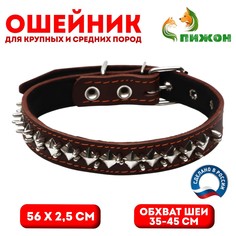 Ошейник кожаный на синтепоне Пижон