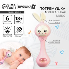 Погремушка музыкальная