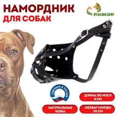 Намордник кожаный цельнокроенный питбультерьер, дн 8 см, ом 30 см, черный Пижон