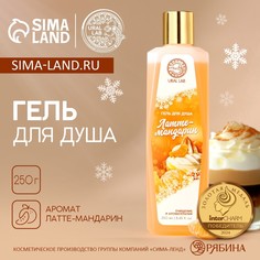 Гель для душа ural lab, 250 мл, аромат латте-мандарин, новый год