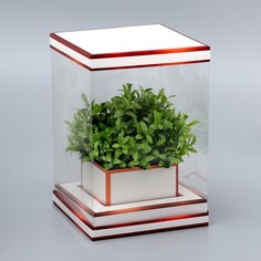 Коробка для цветов с вазой и pvc окнами складная, бронза, 16 х 23 х 16 см Upak Land