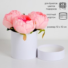 Шляпная коробка белая, 10 х 10 см No Brand