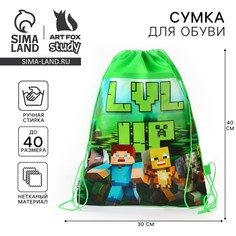 Мешок для обуви Art Fox Study