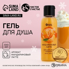 Гель для душа чистое счастье, 100 мл, аромат мандаринового латте, новый год