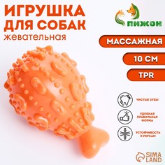 Игрушка массажная пищащая для собак Пижон