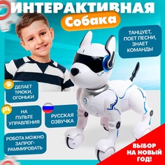 Робот собака No Brand