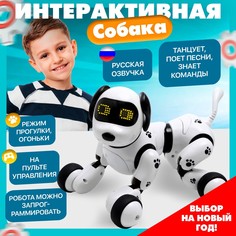 Робот собака No Brand