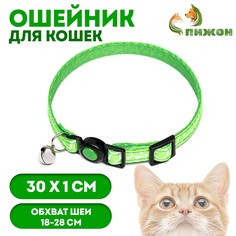 Ошейник кошачий Пижон