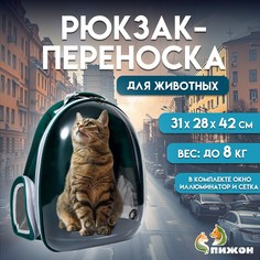 Рюкзак для переноски кошек и собак, прозрачный, 31 х 28 х 42 см, зеленый Пижон