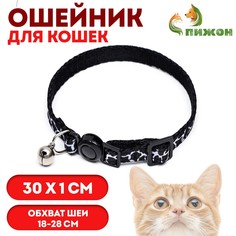 Ошейник кошачий Пижон