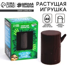 Набор для творчества Школа талантов