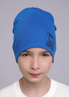 Шапка Clever