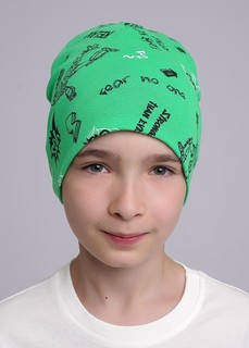 Шапка Clever