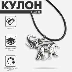 Кулон на шнурке Queen Fair