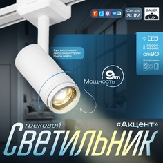 Светильник трековый slim Bayer Lux