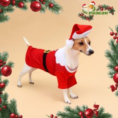 Толстовка для собак с колпаком santa, размер l (дс 35, ог 45 см) No Brand