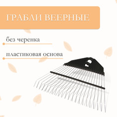 Грабли веерные, без черенка, пластиковая основа, 22 зубчика No Brand