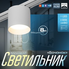 Светильник трековый slim Bayer Lux