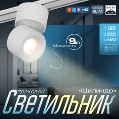 Светильник трековый slim Bayer Lux