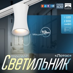 Светильник трековый slim Bayer Lux