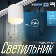 Светильник трековый slim Bayer Lux