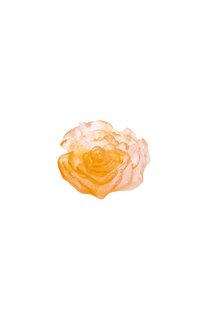 Цветок Rose Royale Daum