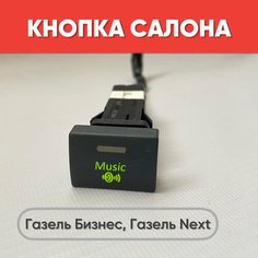 Кнопка салона "Music" на Газель Бизнес, Газель Next (зеленая подсветка) нет