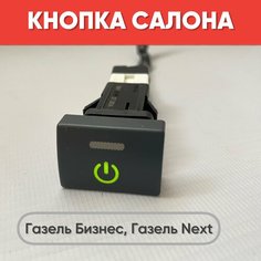 Кнопка салона с рисунком на Газель Бизнес, Газель Next (зеленая подсветка) нет