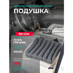Ортопедическая массажная подушка автомобильная на сидение Bio-Line, с гречневой лузгой, ПВХ нанесением,40х45 см