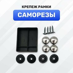 Болты для номерных знаков, саморезы, крепление рамки, нержавейка (хром) Almega