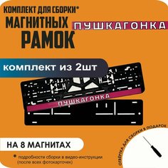 Магнитные рамки для номеров автомобиля/Быстросъёмные "пушкагонка " премиум Нет бренда