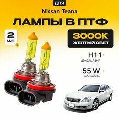 Желтый свет 3000К галогеновые лампочки H11 в ПТФ для Nissan Teana I (J31) дорест. и рест. 2003-2008. H11 в туманки для Ниссан Теана. Галоген в противотуманные фары Va24 Ru