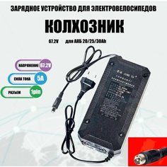 Зарядное устройство Jetson 67.2V 5A, 1 Pin для электросамокатов, электровелосипедов колхозник