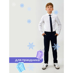Брюки Acoola, размер 122, мультиколор