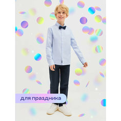 Брюки Acoola, размер 152, темно-синий