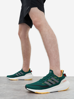 Кроссовки мужские adidas Ultraboost Light Earth Day, Зеленый
