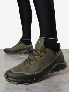 Кроссовки мужские Salomon Alphacross 5 Gtx, Зеленый