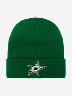 Шапка с отворотом MITCHELL NESS EU175-TEAMTALK-GRN Dallas Stars NHL (зеленый), Зеленый Mitchell&Ness