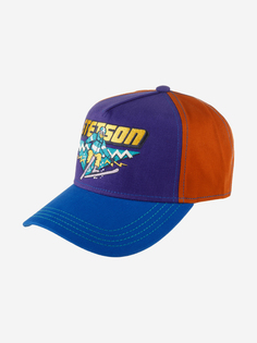 Бейсболка STETSON 7761187 TRUCKER CAP SKI (фиолетовый), Фиолетовый