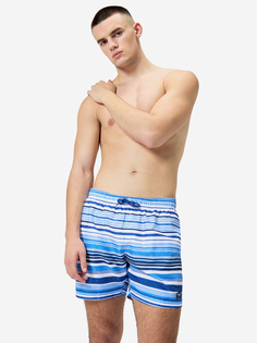 Шорты плавательные мужские Speedo, Синий