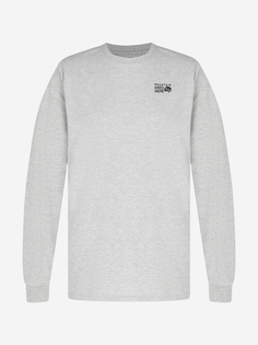 Лонгслив мужской Mountain Hardwear Back Logo, Серый