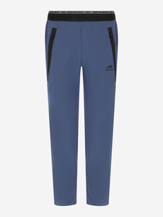 Брюки мужские Athlex, Синий