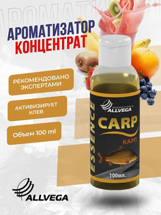 Ароматизатор-концентрат ALLVEGA "Essence" Карп Фрукты, Коричневый
