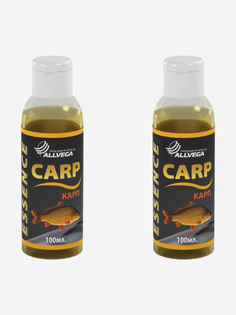 Ароматизатор-концентрат жидкий ALLVEGA "Essence Carp" 100 мл (КАРП) 2 штуки., Коричневый