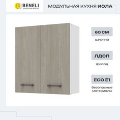 Шкаф Beneli ИОЛА 2024053800700