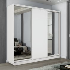 Шкаф-купеЕ1 Экспресс Зеркало/ДСП/Зеркало 210х60х240, Белый снег