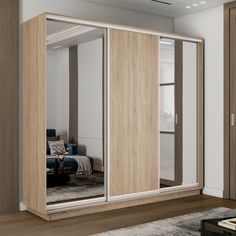 Шкаф-купеЕ1 Экспресс Зеркало/ДСП/Зеркало 210х45х240, Сонома