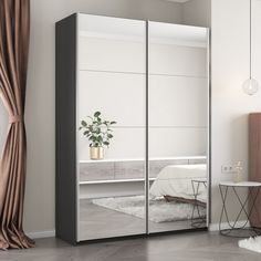Шкаф-купеЕ1 Прайм Зеркало/доводчики 160х57х230, Серый диамант