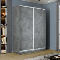 Шкаф-купеЕ1 Экспресс ДСП 120х60х220, Бетон