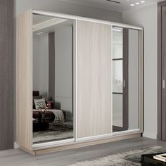 Шкаф-купе Медиум 2 зеркало, 180х60х240 Е1 EMT2_180240_SHS